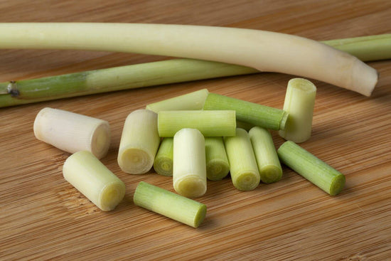 The organic, eco-friendly first line of defense against bug bites and diseases carried by ticks, mosquitos and more.